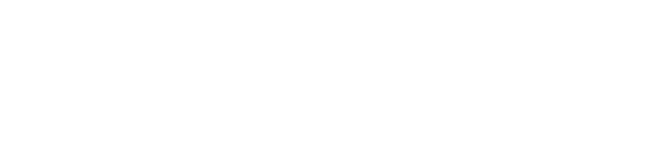 DIMITRI TAMION
